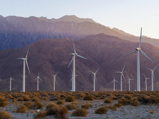 Preserving Our Planet and Reducing Emissions.