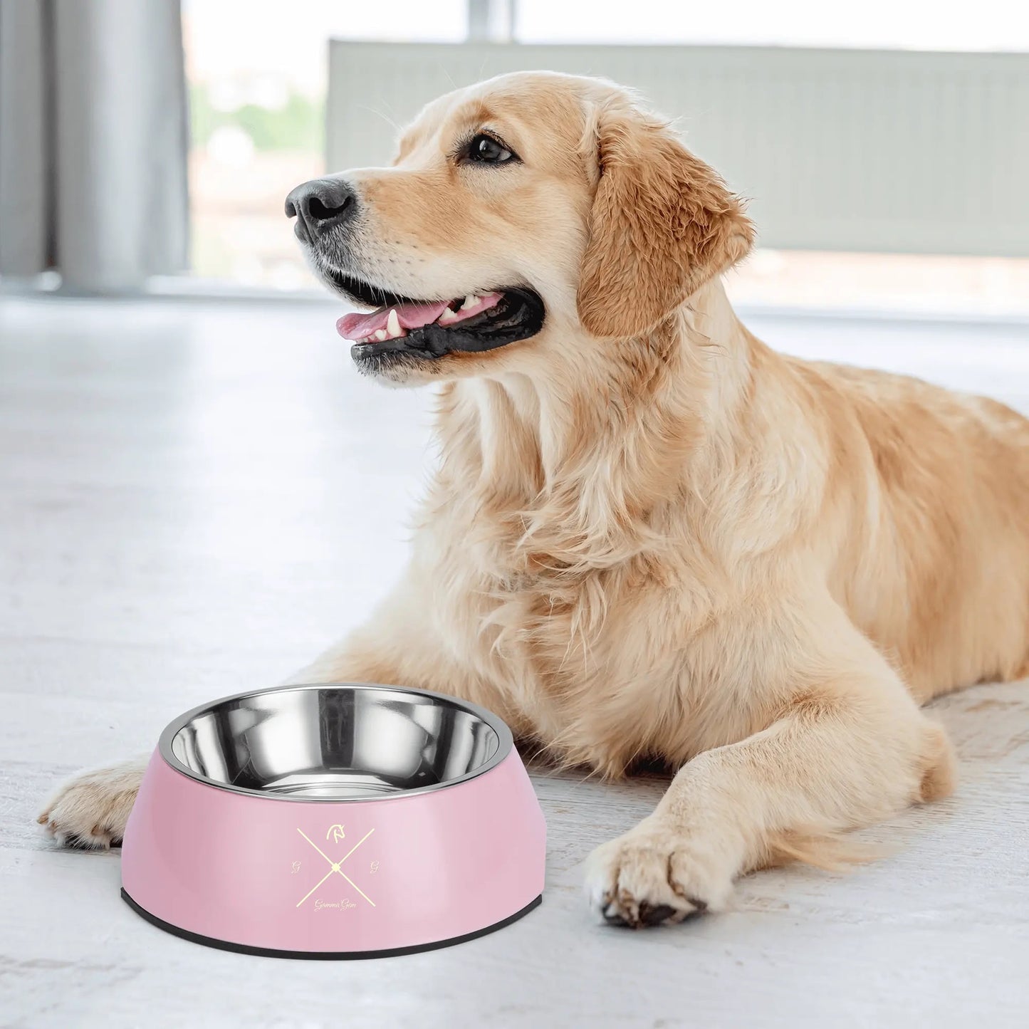 Neutral steel dye-free pet bowl.