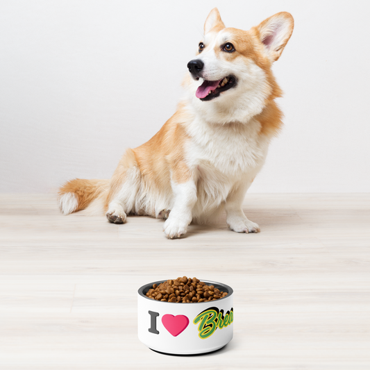 Neutral breakfast pet bowl.